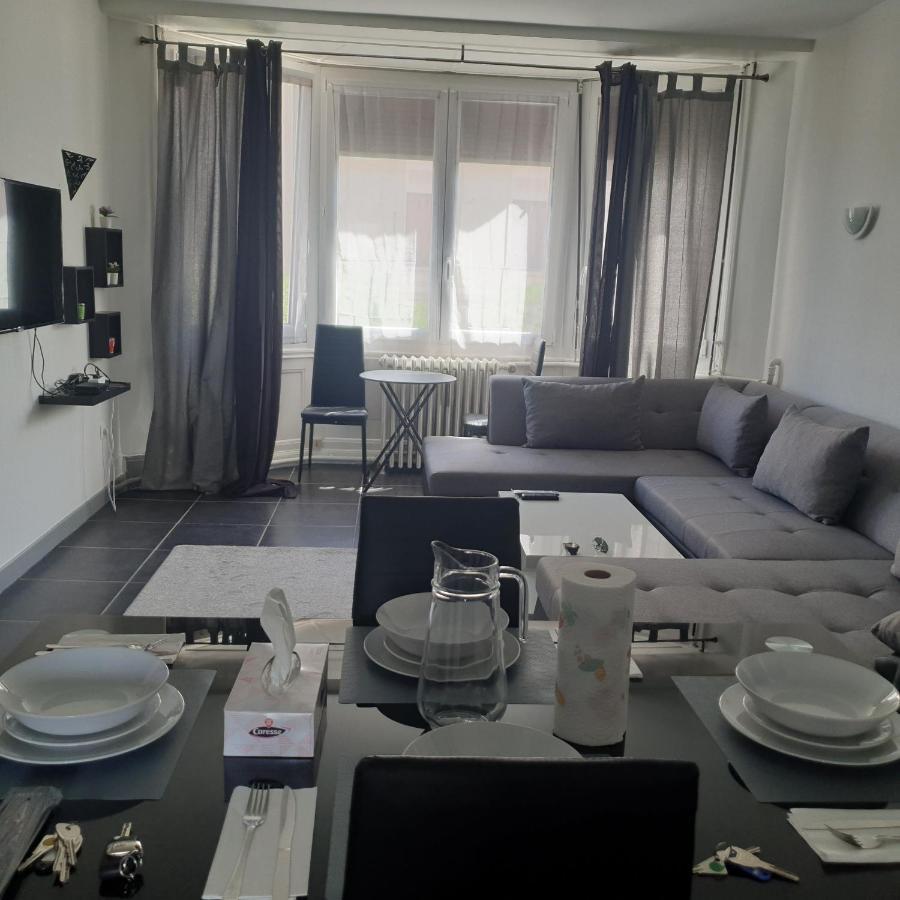 Appartement T2 Courte Duree Coup De Coeur Toute A 5 Minutes Σαιντ-Ετιέν Εξωτερικό φωτογραφία